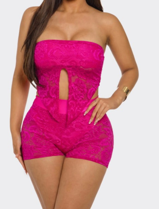 Fuchsia Fantasy